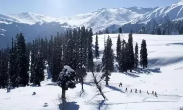 Kashmir Customised Trip